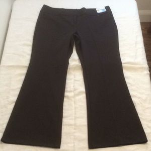 Size 16 Tall New York & Company City Knit Pant